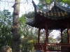 qiuxia-garden-20