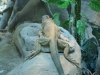 shanghai_zoo_04