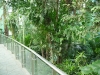 shanghai_zoo_10